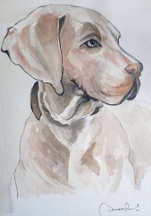 « Vizsla »